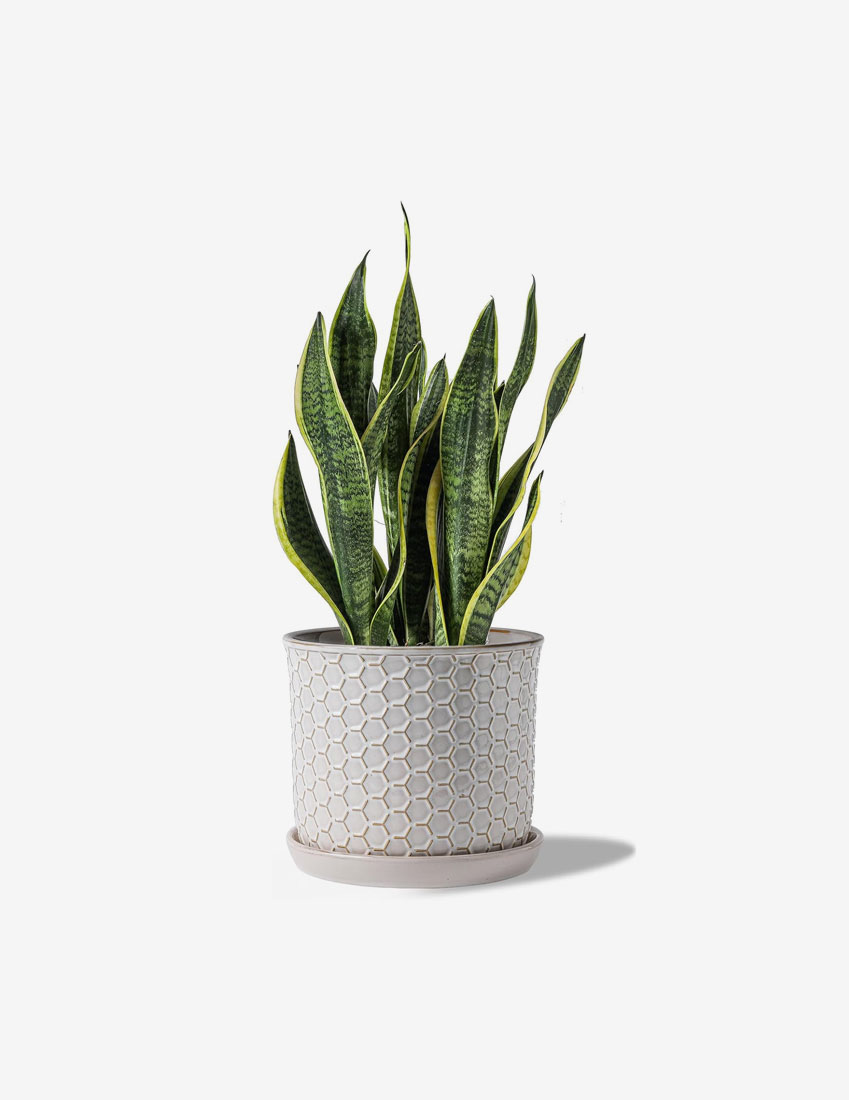 Lightweight Plastic Clock